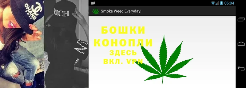 Бошки Шишки OG Kush  где можно купить   Тюмень 